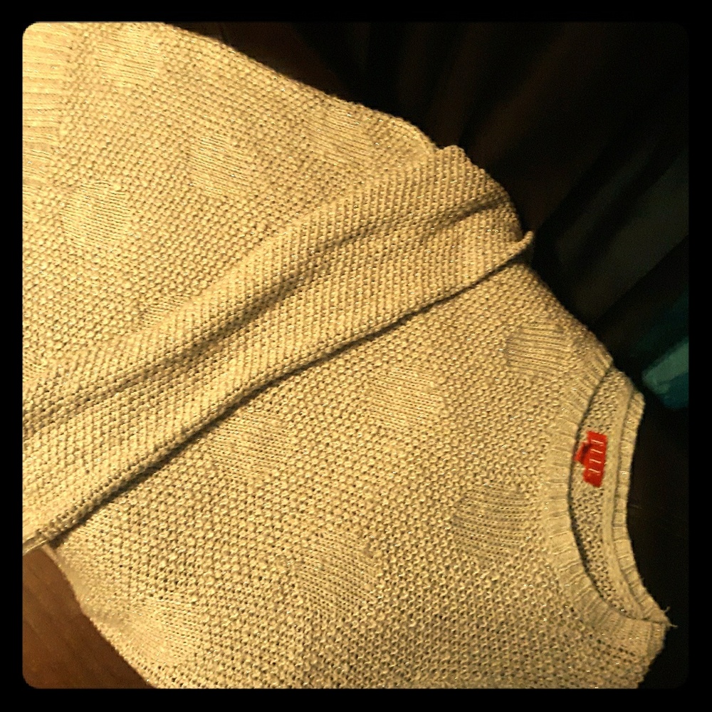 Silver/gray sparkly sweater